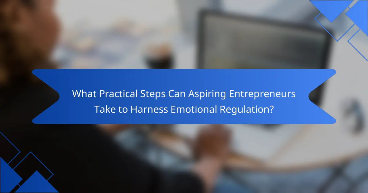 What Practical Steps Can Aspiring Entrepreneurs Take to Harness Emotional Regulation?